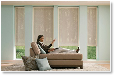 Hunter Douglas Motorized