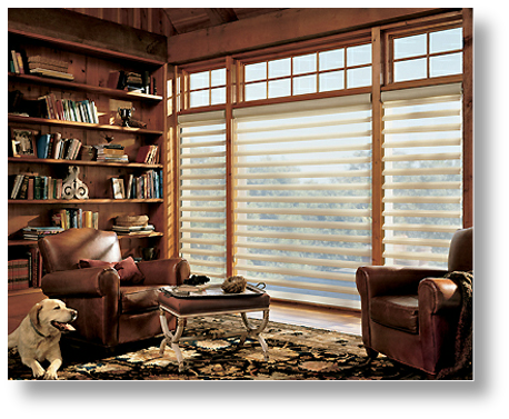 Hunter Douglas Pirouette Blinds Omaha NE